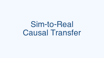 Sim-to-Real preview